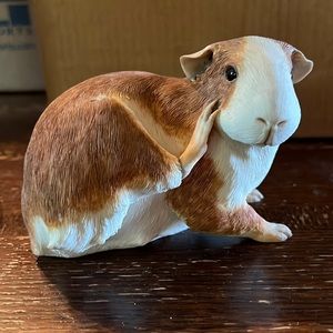 Sherratt & Simpson guinea pig, scratching with claw